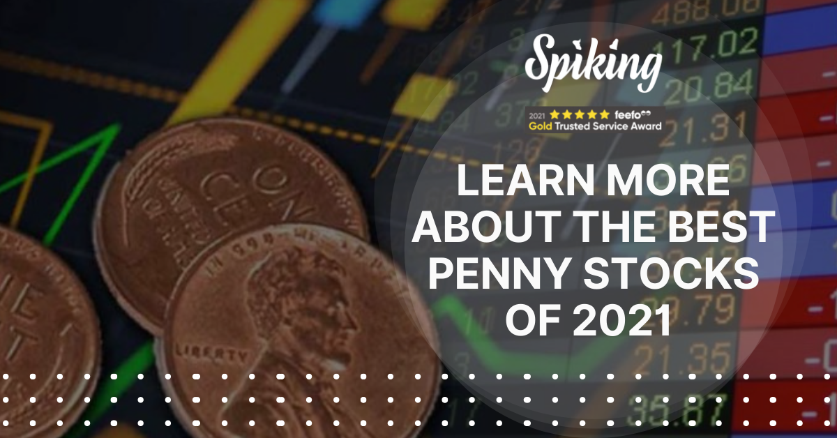 Top 10 Penny Cryptocurrencies To Buy In 2022 | Bitcoin Investors | Spiking